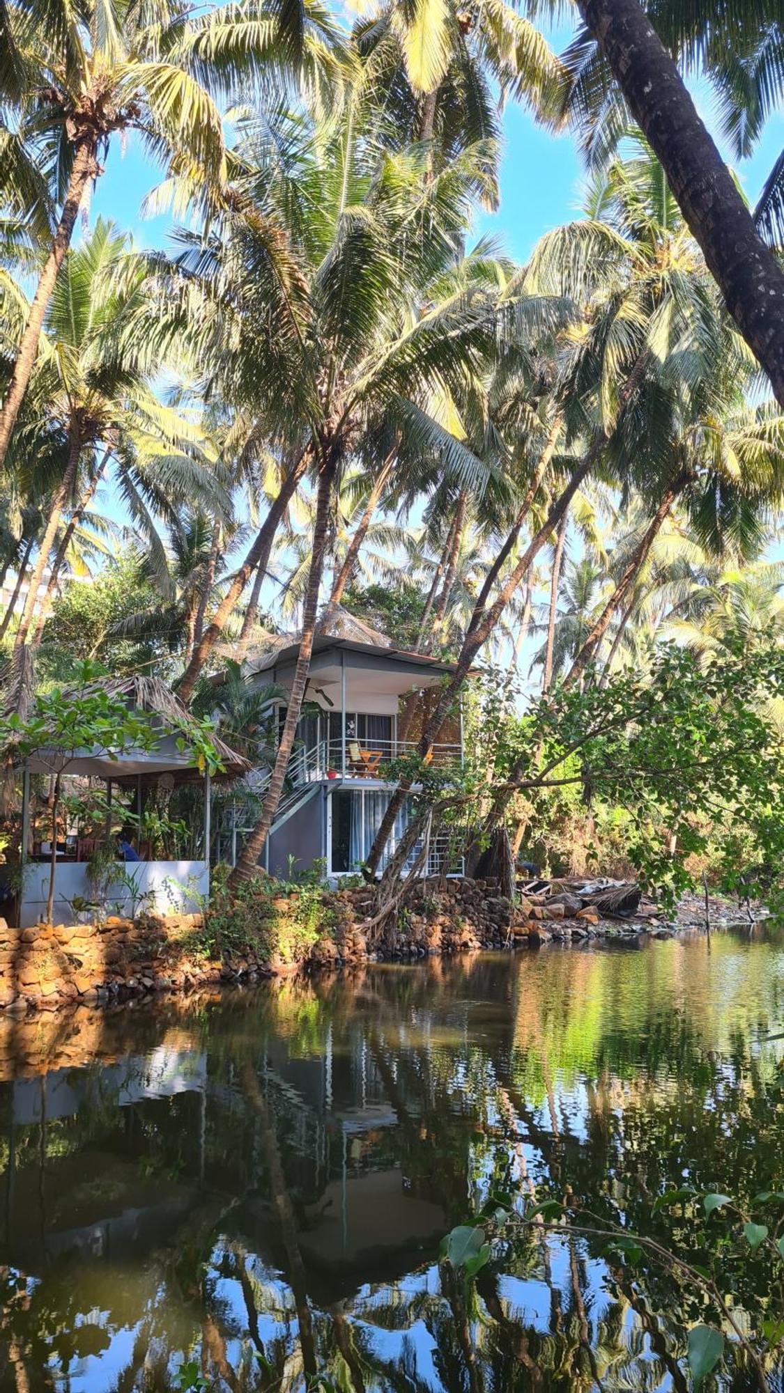 Palm Trees Ayurvedic Heritage Patnem Beach Exteriör bild